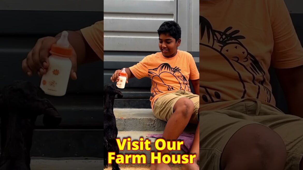 Visit our farm house #farmhouse #organicfarming #food #growyourownfood #organicvegetablegardening