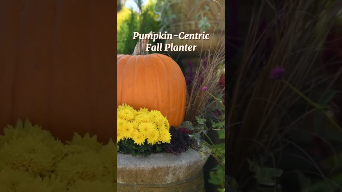Fall Planters! – Want to Make the Perfect Autumn Container Garden? Get Ready to Get Bountiful! Fall Planters! - Want to Make the Perfect Autumn Container Garden? Get Ready to Get Bountiful!