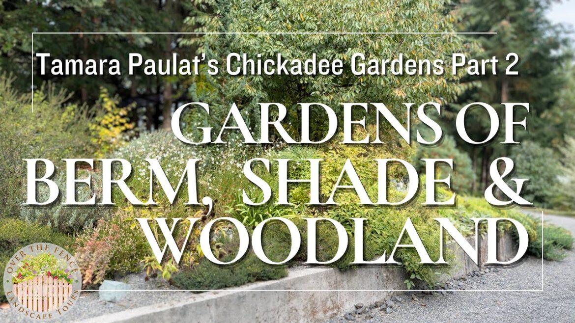 Chickadee Gardens Tour Part 2: Berm Garden, Shade Garden, and Woodland Garden