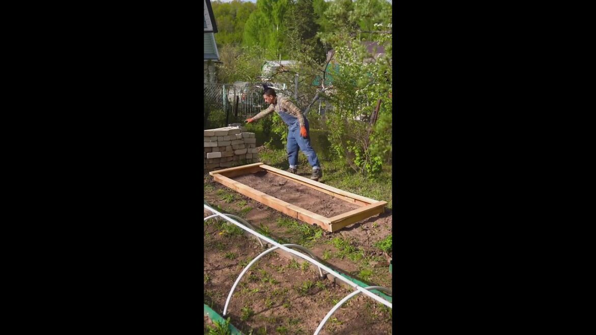 On a budget? Create your own green house! On a budget? Create your own green house!