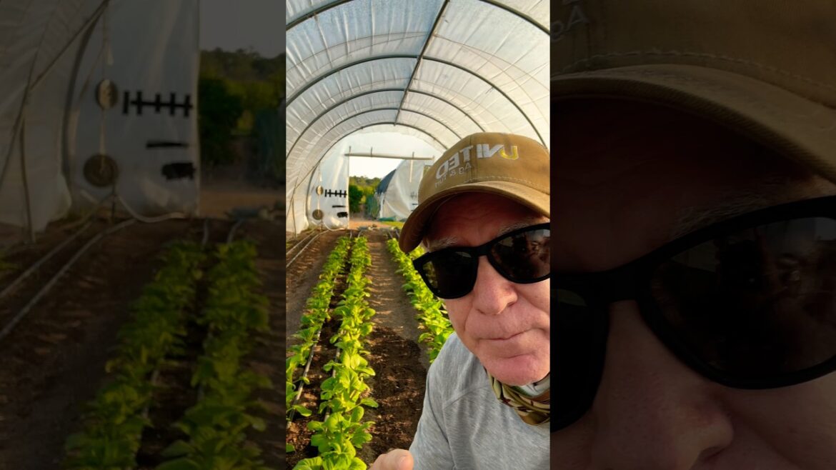 Which Water?  #gardening