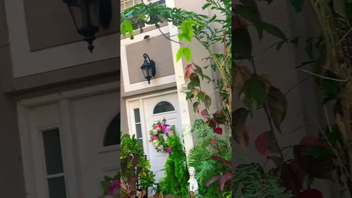 #backyard #garden #backyardgardentour # flowers #plants