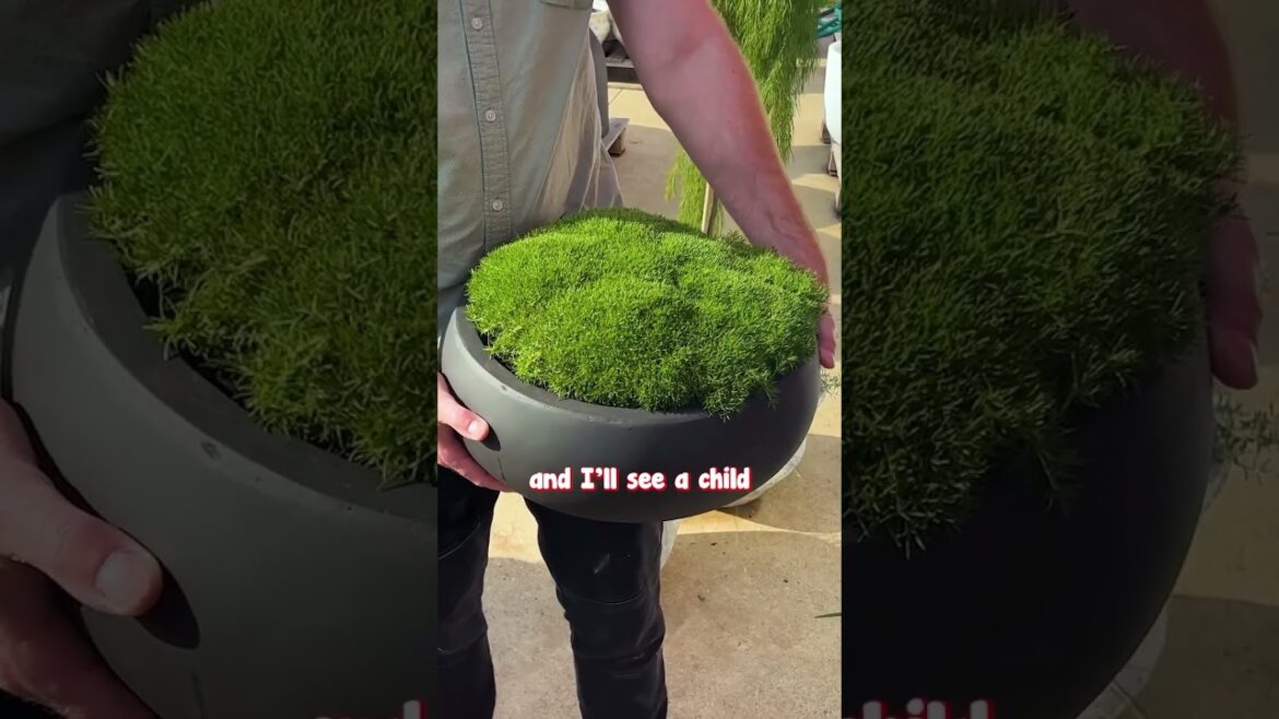 Spruce Up the Outdoor Dining Table With Lime Lava