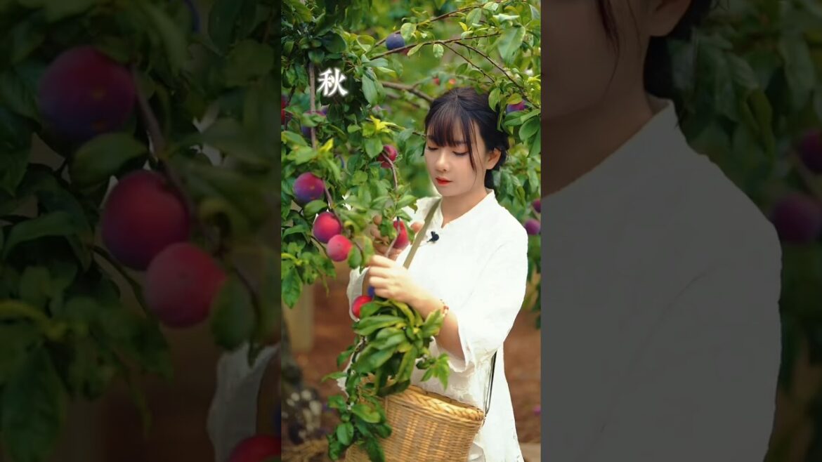 Enjoy the some fresh and tasty delicious fruits🥭🍊🍏🍍🍓🍑#short #nature #fruitgarden