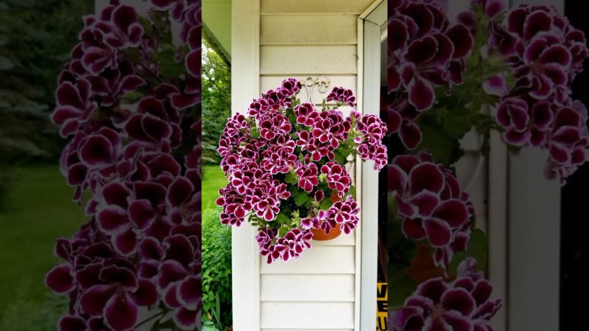 New birdcage and Garden recycling tyres design ideas #myfirsthome