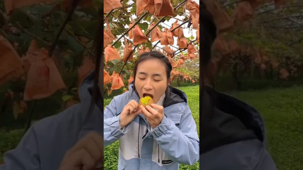 O Wow so amazing fruit 🍑🍓🍓🥭🍉🍑🍓🥭🍓🍑🍓🥭🥝🍓🍑🍑🍓 #shorts #viralshort