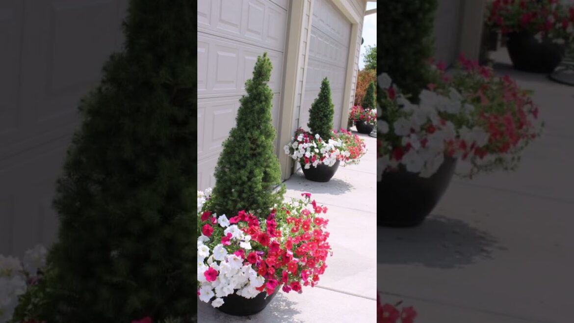 Amazing DIY Planters Design ideas Garden landscaping ideas