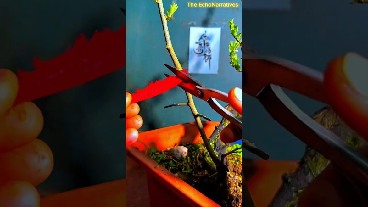 Trick to Propagate Plants 🌲|| The EchoNarratives || #shorts Trick to Propagate Plants 🌲|| The EchoNarratives || #shorts