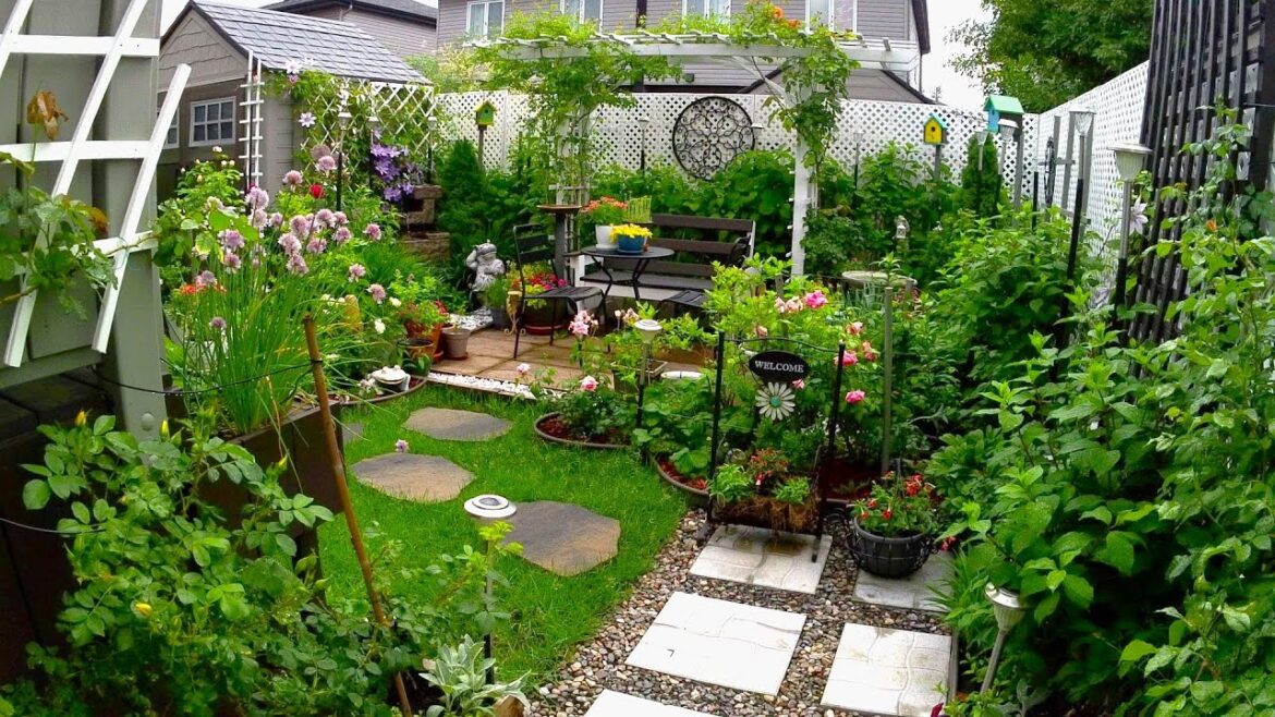 TINY BACKYARD GARDEN TOUR | Roses Are Starting To Bloom #garden #gardening #plants #flowers #new