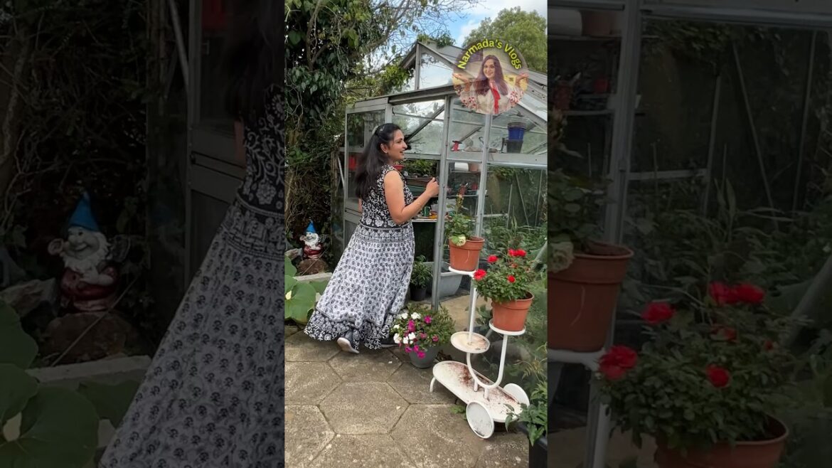 Vegetable Harvest Hacks You Won’t Believe Vegetable Harvest Hacks You Won't Believe