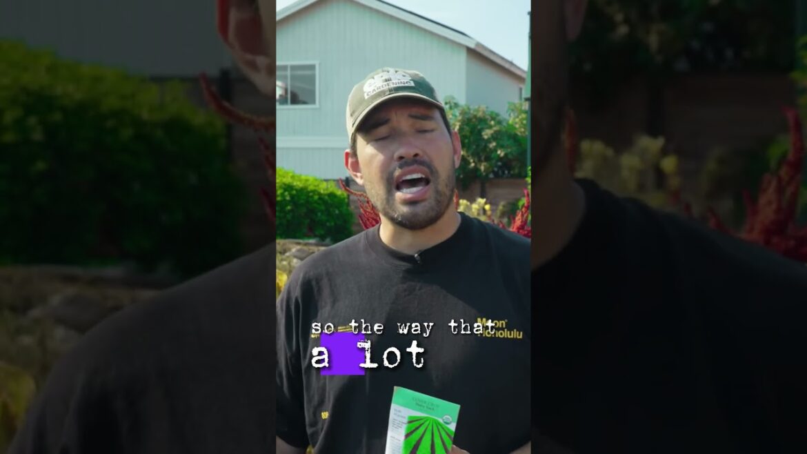 A Hairy what in your garden??? #garden