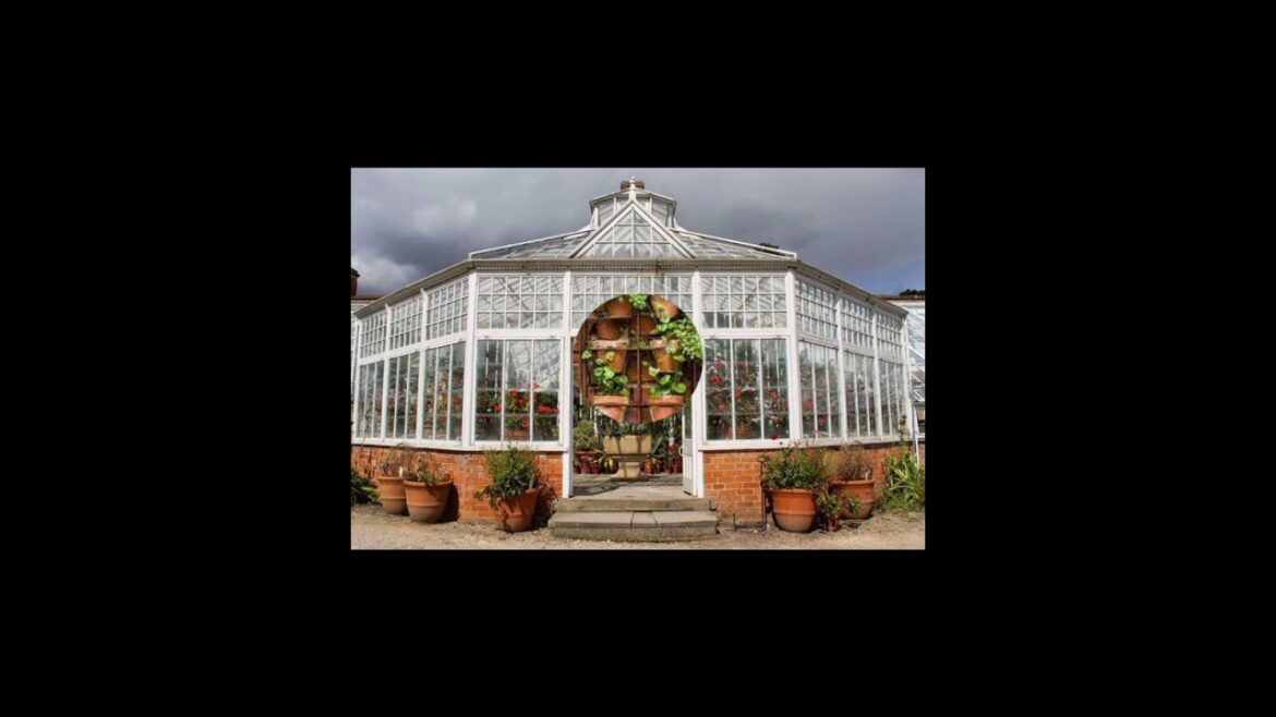 Garden Decore Flowers  Ideas & Most Outstanding Ganden Ideas