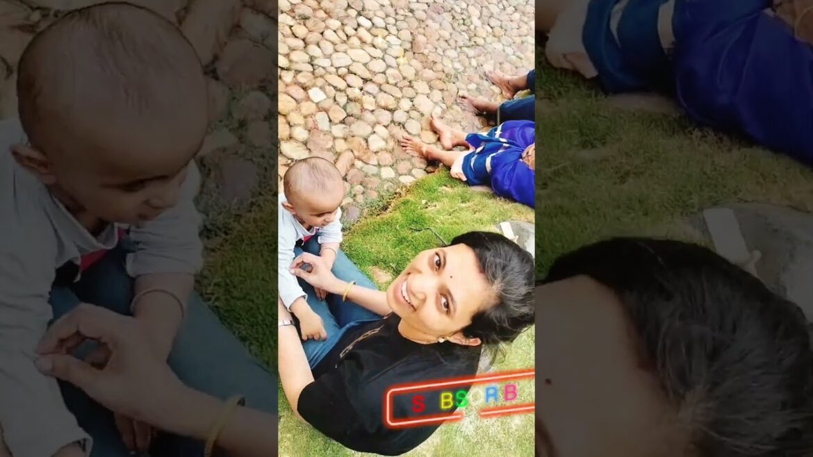 Shooting location//Japanese Garden of Ramoji Film City #youtubeshorts #nature #shortvideo #love