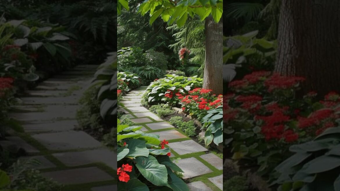 Landscaping Garden #myfirsthome