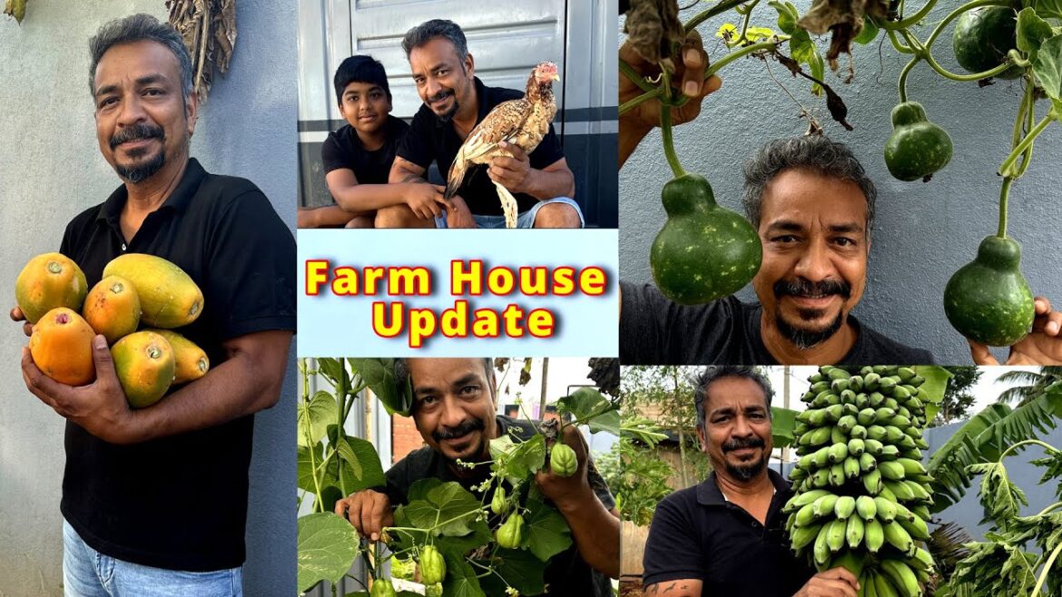 Our Farm House Update - Harvest Haven- Life at Our Farmhouse - Our Farmhouse Retreat