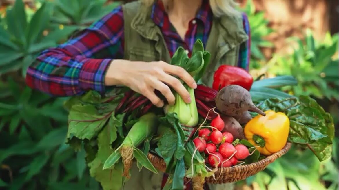 Master Vegetable Gardener Shares Top Tips for Success