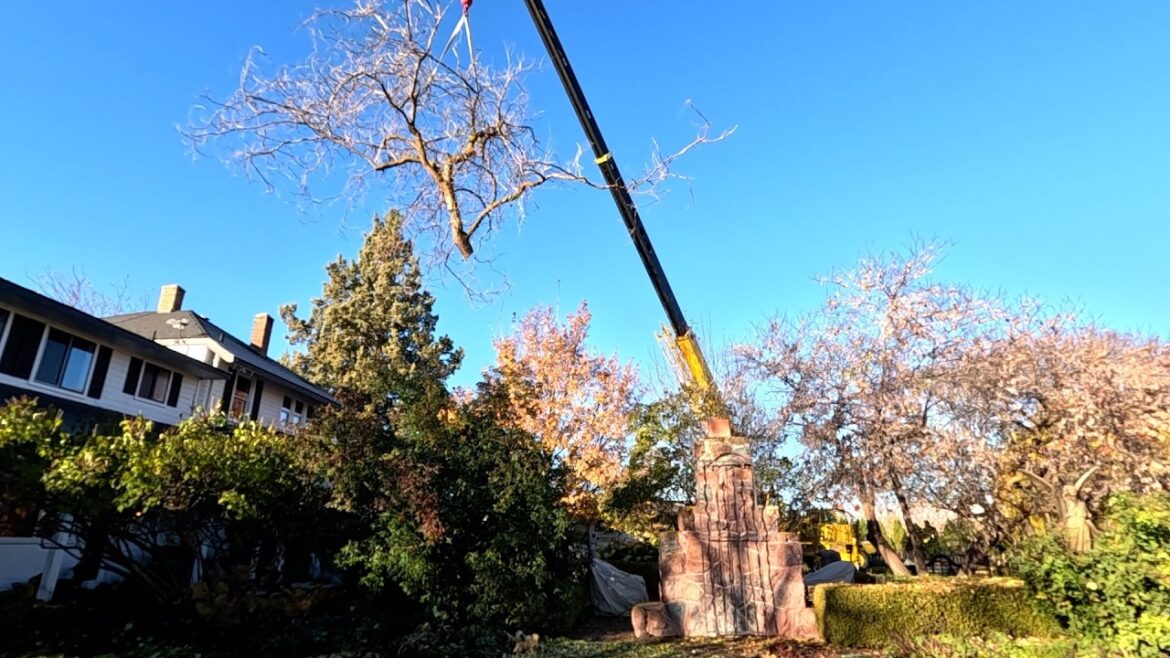 Garden Answer: Removing the Big Locust Tree, Moving Trees & Planting Lilacs! 🌳🪓🍂 // Garden Answer Removing the Big Locust Tree, Moving Trees & Planting Lilacs! 🌳🪓🍂 // Garden Answer