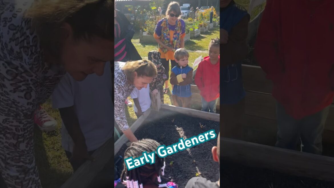 Gardening Life With Our Young Gardeners at MECC Gardening Life With Our Young Gardeners at MECC