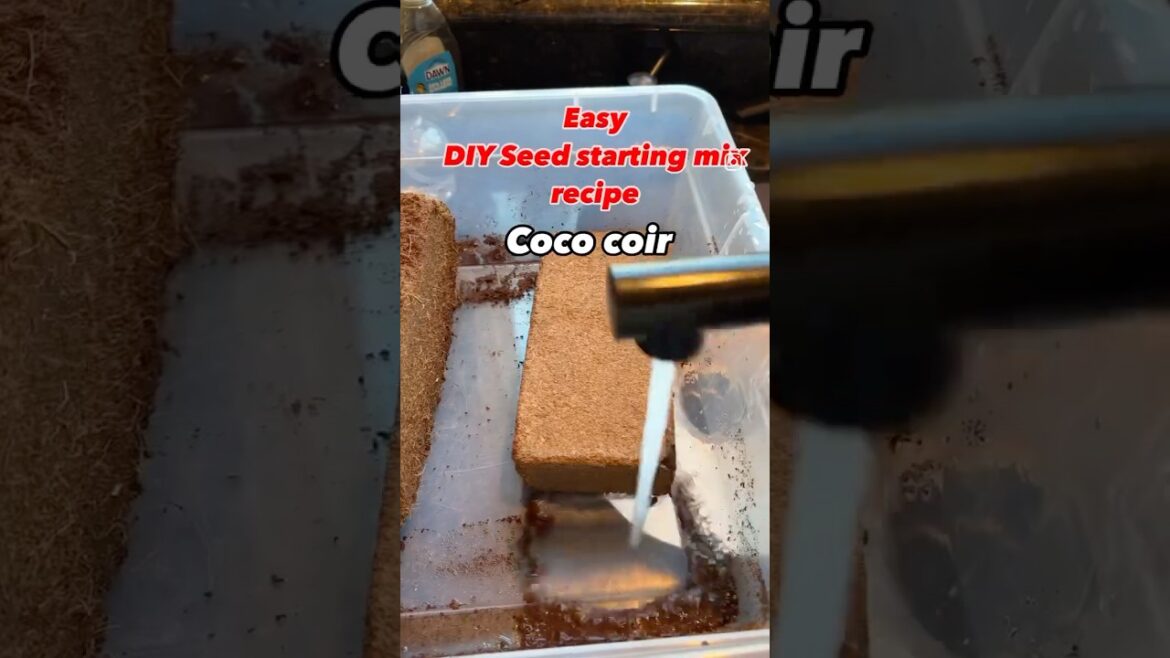 It feels illegal to know this