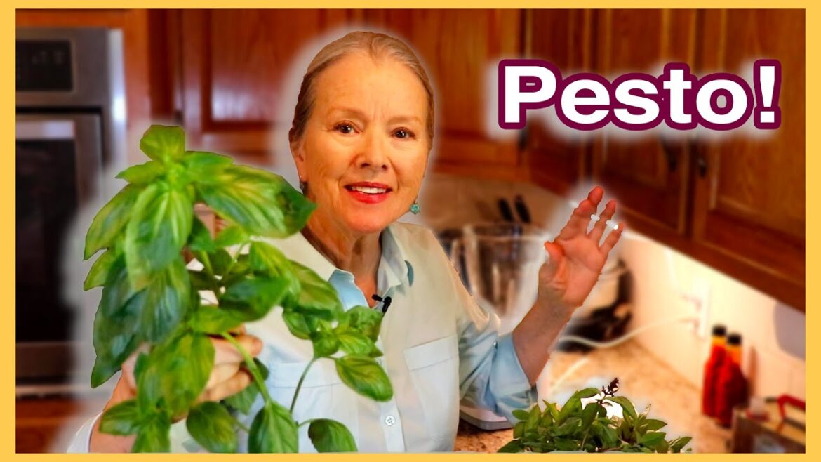How to make Basil Pesto, Fresh from the Garden & EASY!
