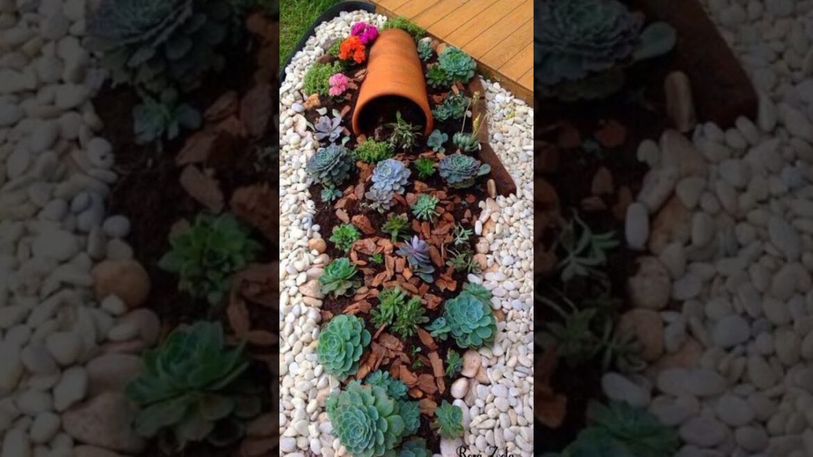 New Plant Garden design #myfirsthome