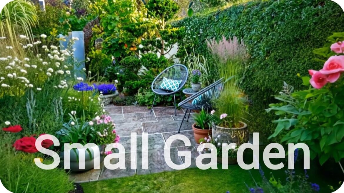 Small Garden Ideas: Design, Plants & Inspiration