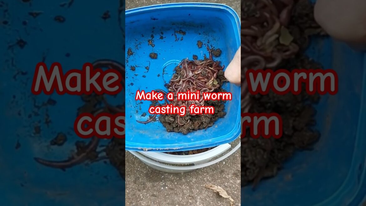 How to make a mini worm casting farm #wormfarm #wormcastings #vegetablegardening