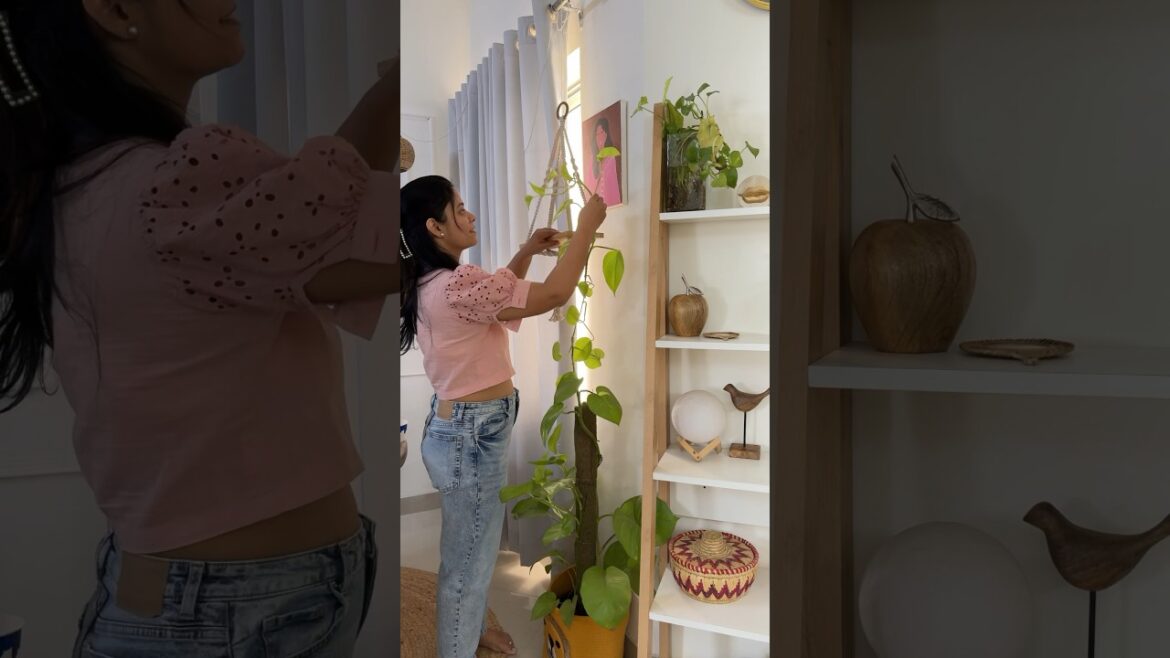 Itna Bada Money Plant, Kaise? π² Free Tips #shorts Itna Bada Money Plant, Kaise? π² Free Tips #shorts