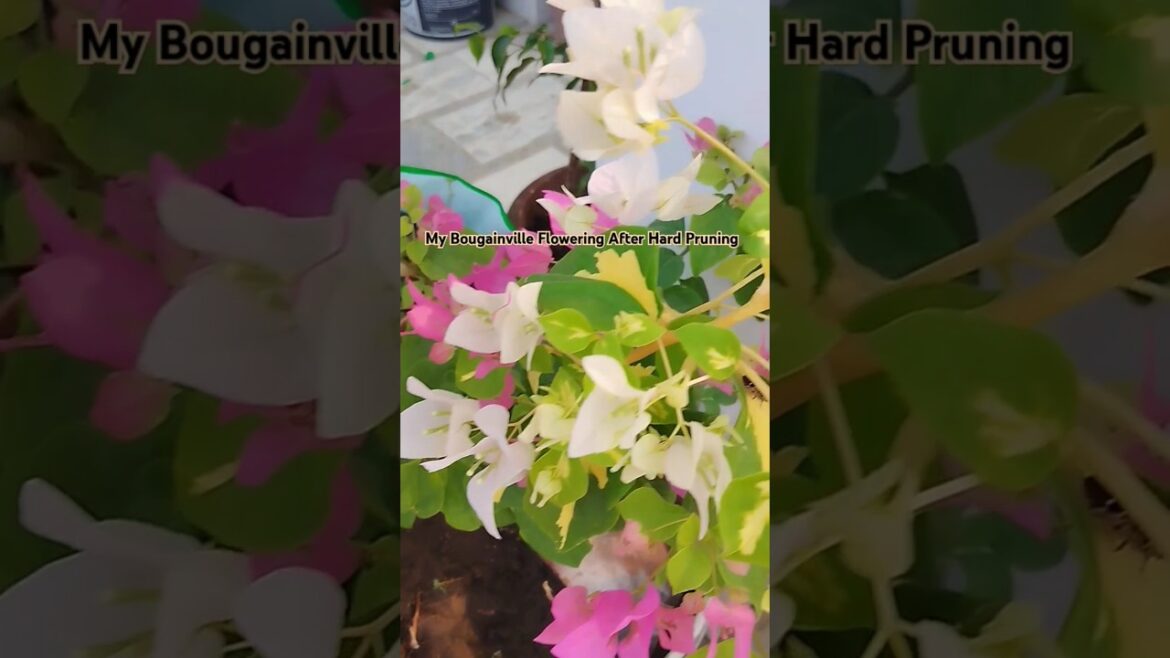 Benefits and motivation for gardening#shorts #trending #viral#plantlove