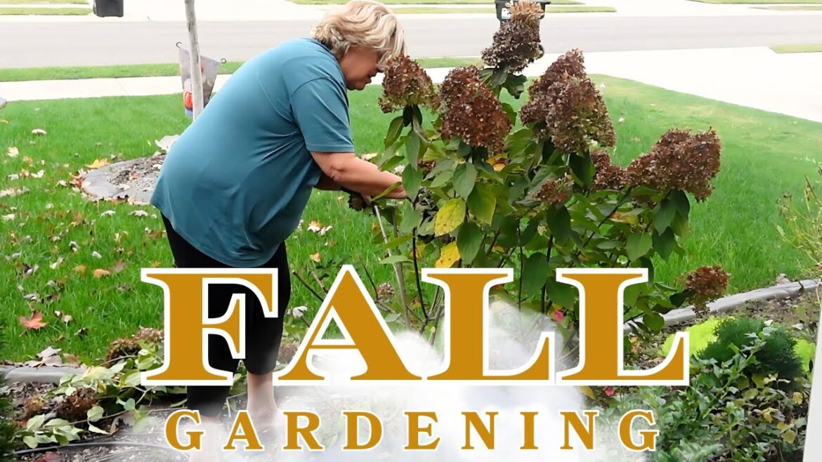 FALL GARDEN MAINTENANCE: PREPPING FOR NEXT SPRING FALL GARDEN MAINTENANCE: PREPPING FOR NEXT SPRING