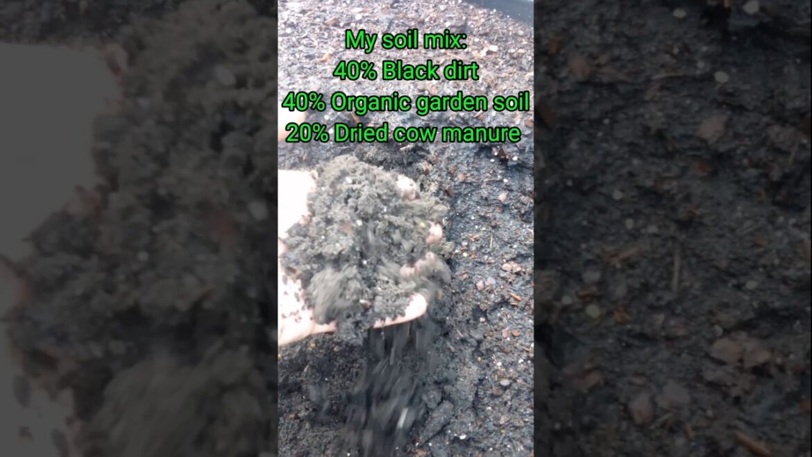 Why Does This ALWAYS Happen!? #garden #homegrown #organic #shorts