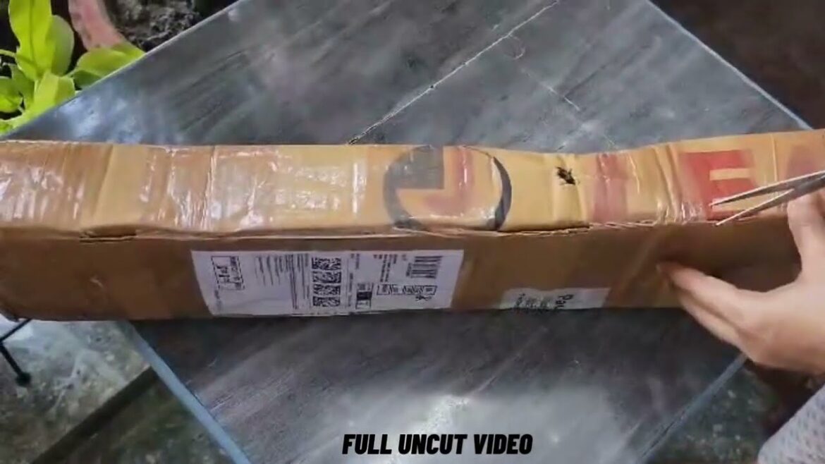 Flower plants unboxing | Paudhewale.com 🪴  India's First plants & garden supplies online marketplace