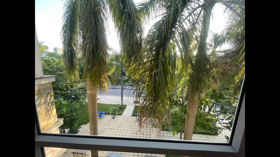 My little brother’s own courtyard renovation. #renovation #construction