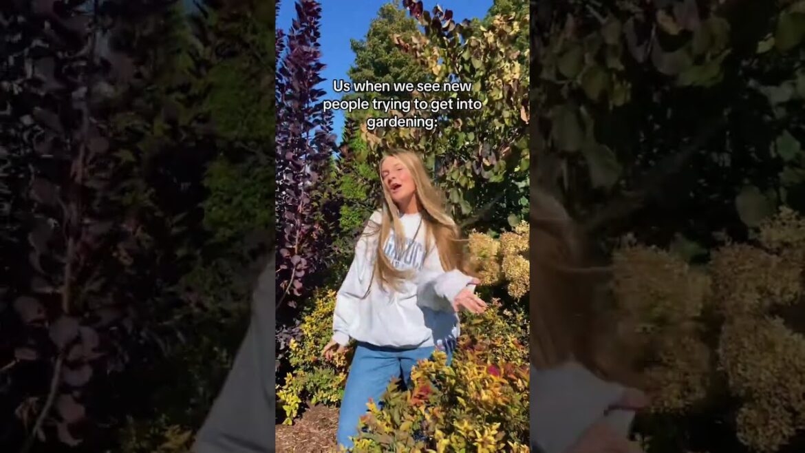 In the garden, we all had to start somewhere! #gardener #gardening #planting #gardeners #beginners