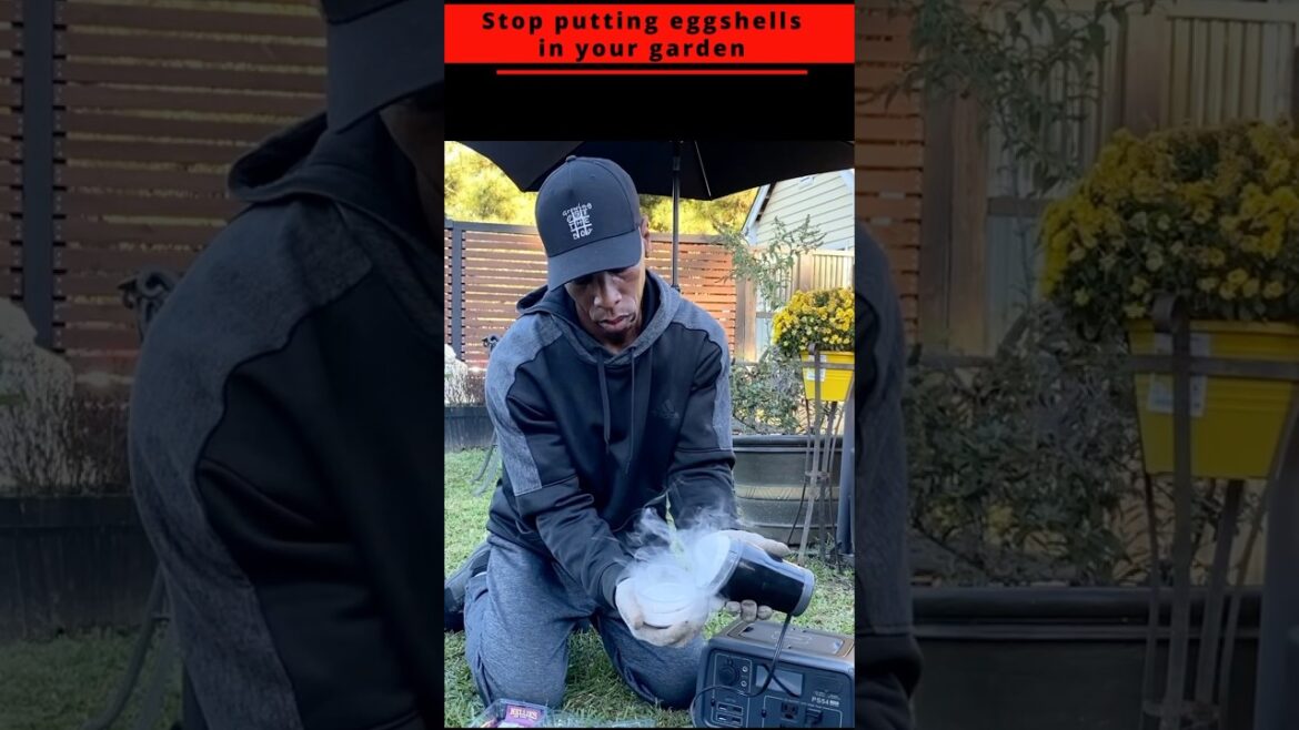 Stop putting eggshells in your garden #garden #gardening