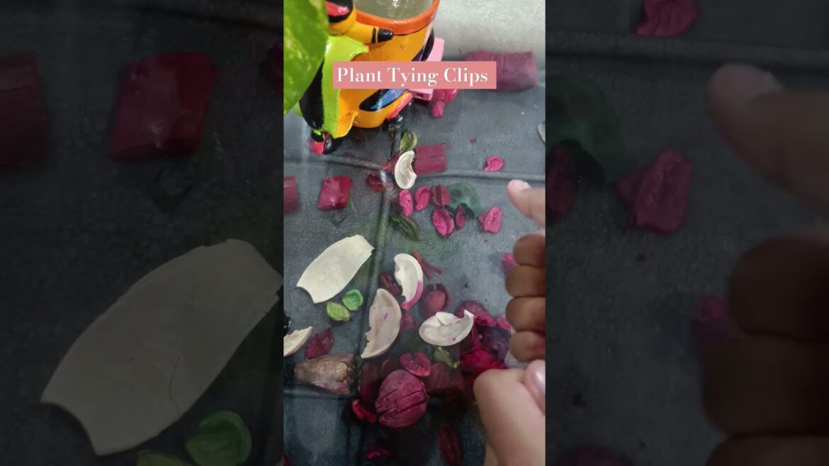 How Perfectly Tied Plants & Clips Changed the Game