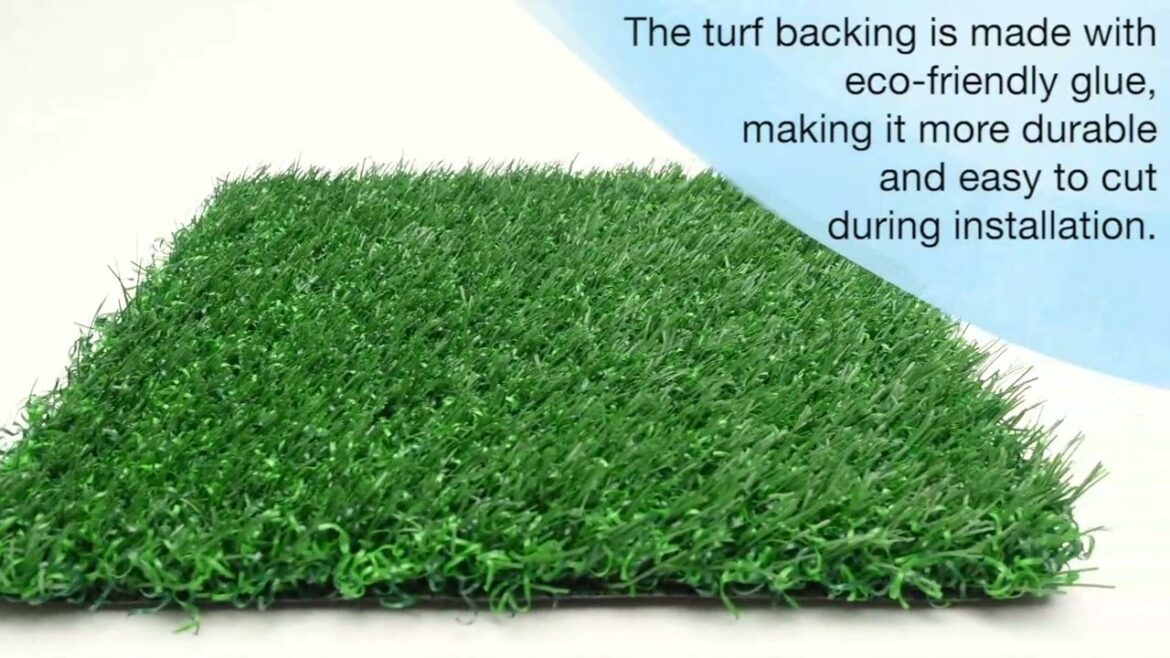 Green Oasis: Sustainable Decor and Fitness Solutions for a Healthy Lifestyle