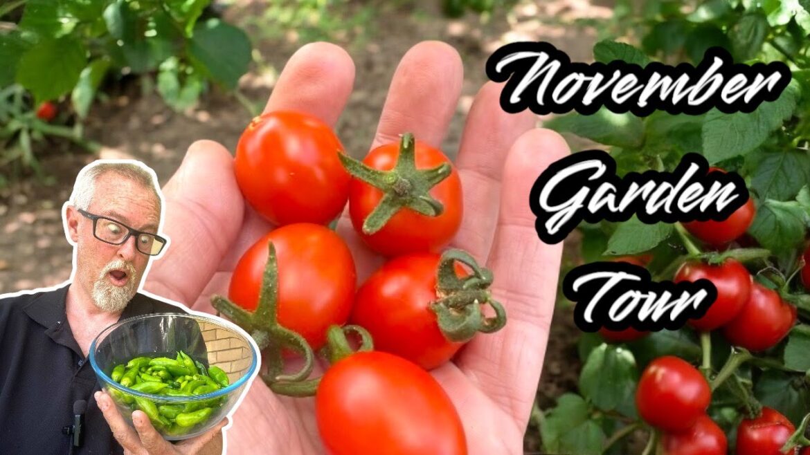 What's THRIVING in My November Edible Garden Tour 2024