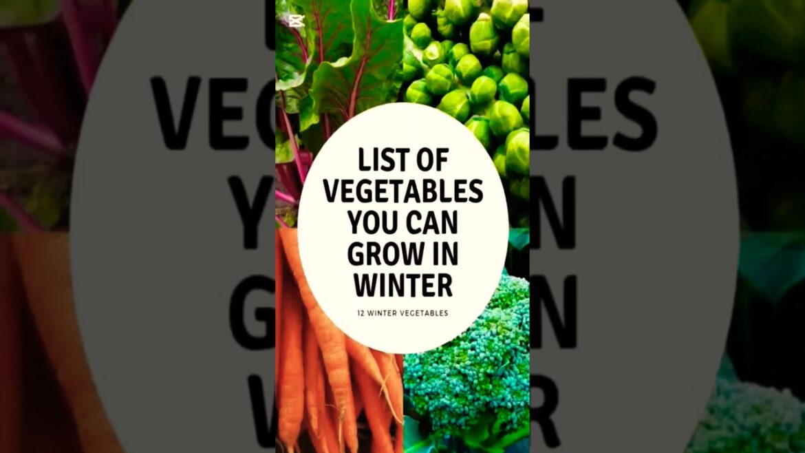 12 winter veggies you can grow at home 12 winter veggies you can grow at home
