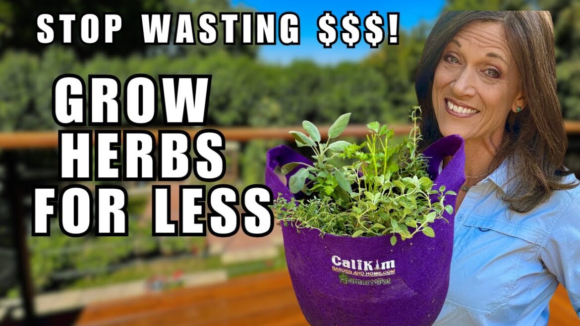 STOP Wasting Cash-Grow Herbs Year-Round in 1 Container for Pennies