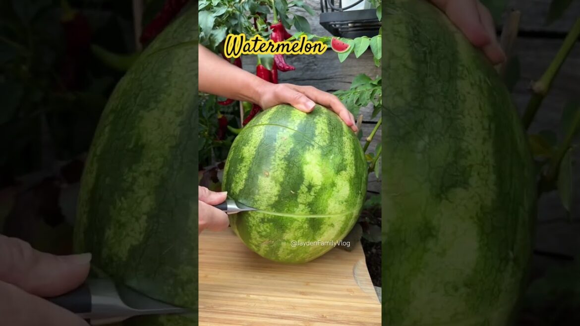 Watermelon π π #shorts #satisfying #fruitcutting #fruit #watermelon #garden Watermelon π π #shorts #satisfying #fruitcutting #fruit #watermelon #garden