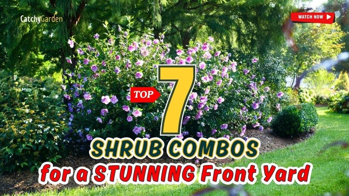 TOP 7 SHRUB COMBOS for a STUNNING Front Yard! π³π‘πΉ // Gardening Ideas TOP 7 SHRUB COMBOS for a STUNNING Front Yard! π³π‘πΉ // Gardening Ideas
