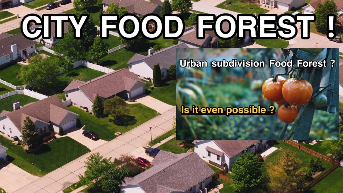 Could you create a FOOD FOREST (Garden trend ) in the middle of an urban subdivision? Could you create a FOOD FOREST (Garden trend ) in the middle of an urban subdivision?