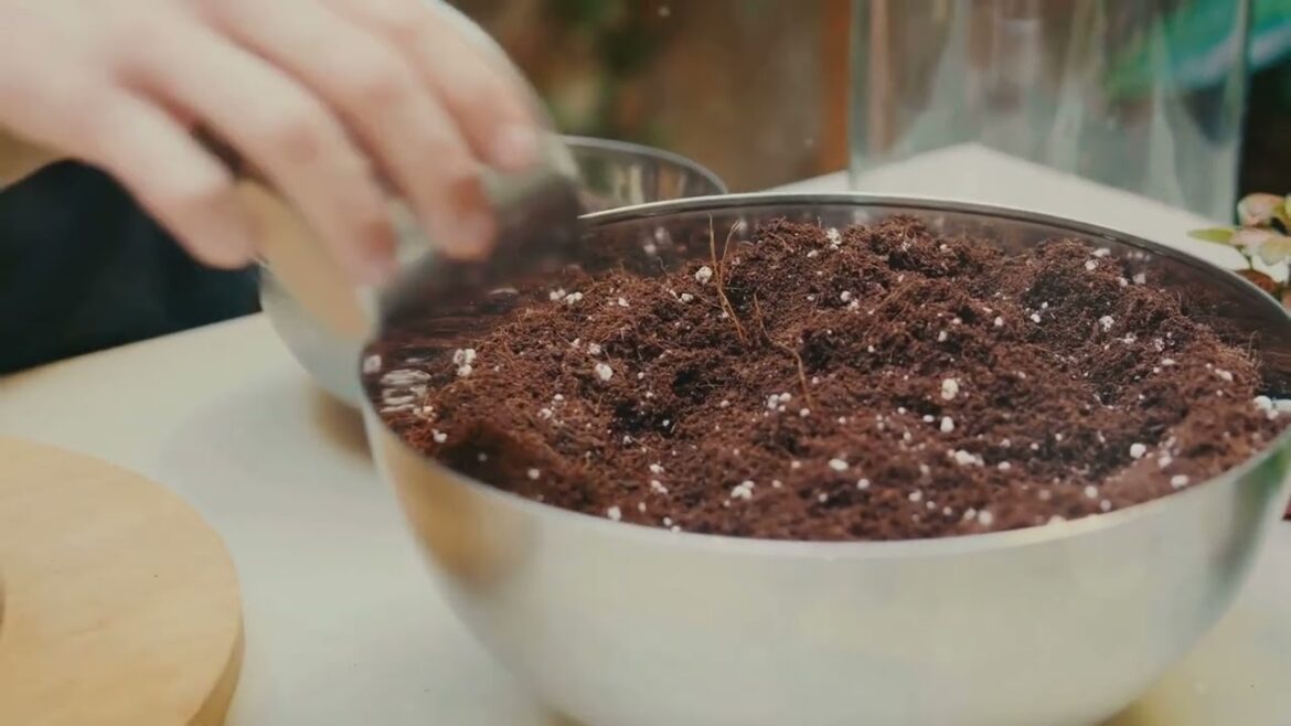 Unlocking the Secrets to Successful Container Gardening!