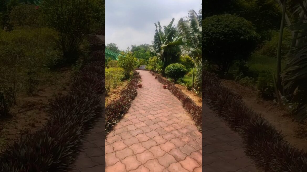 मेरे ख्वाबों में आ धड़कनों में समां#trending #hindisong #love #song #nature #world Beautiful मेरे ख्वाबों में आ धड़कनों में समां#trending #hindisong #love #song #nature #world Beautiful