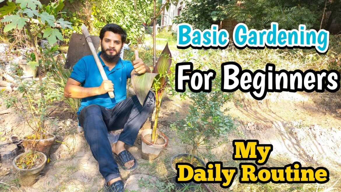 Home Gardening For Beginners | Daily Routine Gardening Tips | Rare Garden