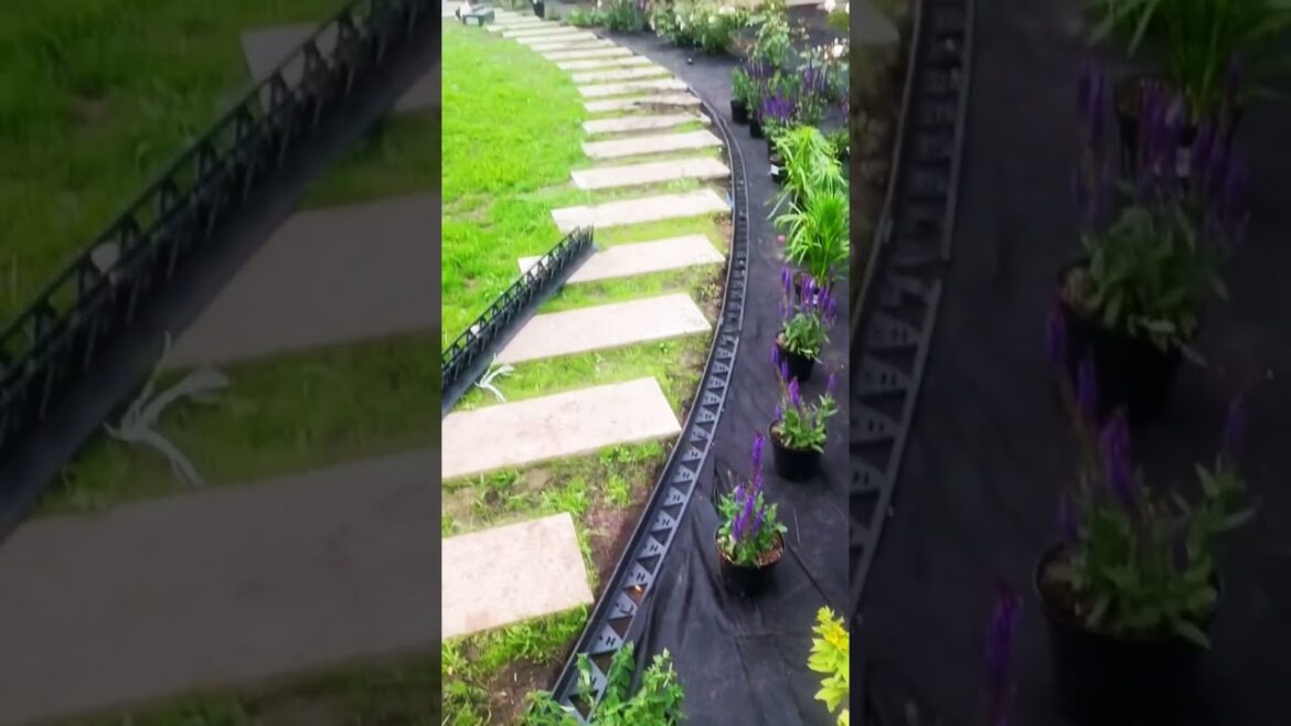 Комплексное благоустройство участка @otlandshaftnika Посадка растений, мульчирование.