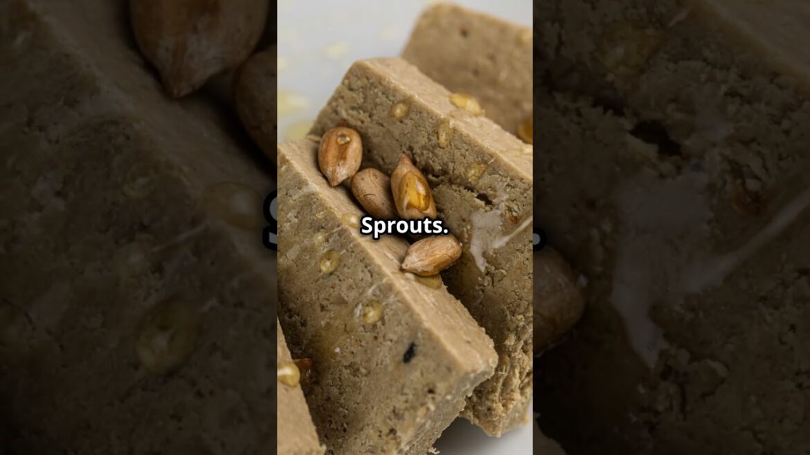 Top 5 Winter Friendly Plants to Grow! #garden #gardening #plants #winter #planting #gardeningideas