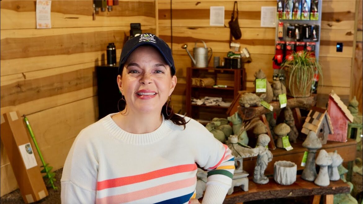 Garden Gift Ideas & Boxwood Alternatives for Your Garden Garden Gift Ideas & Boxwood Alternatives for Your Garden