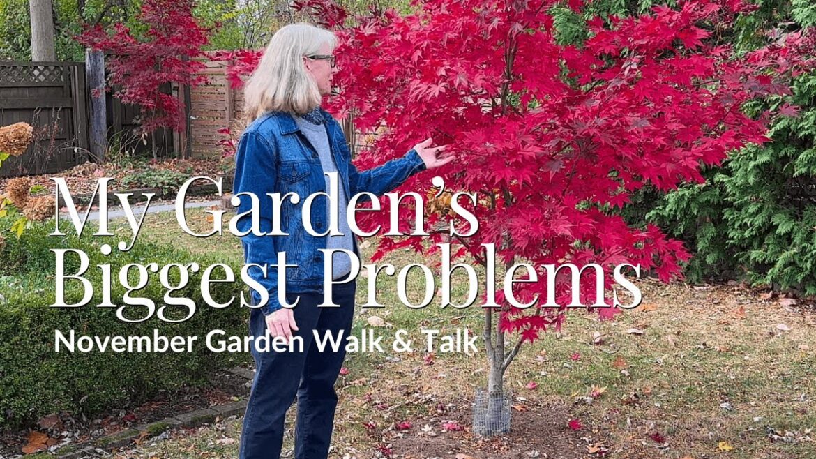 My Garden's Biggest Problems (and How I'll Fix Them in 2025) - All For ...